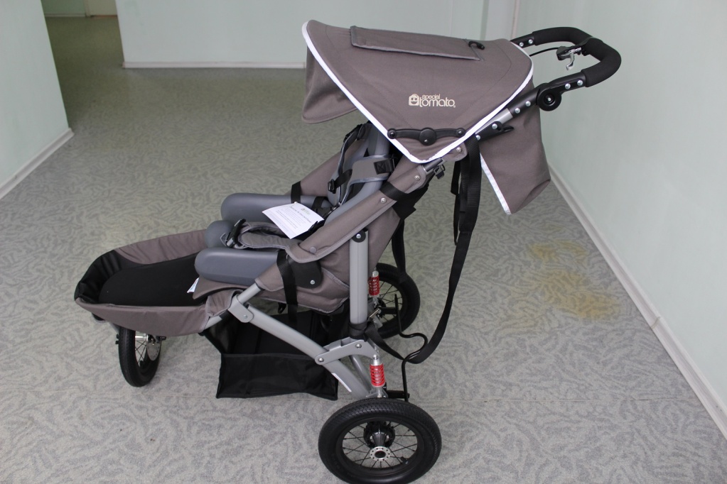 Коляска Special Tomato Jogger_капюшон_козырек.JPG